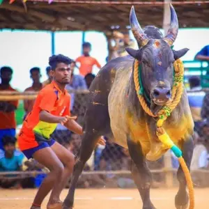 ராணிப்பேட்டை வியாபார தளம்🔥