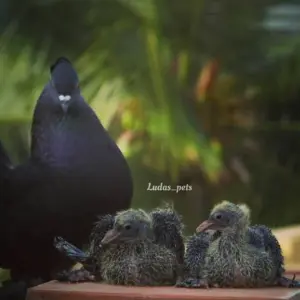 தமிழ்நாடு வியாபார தளம்